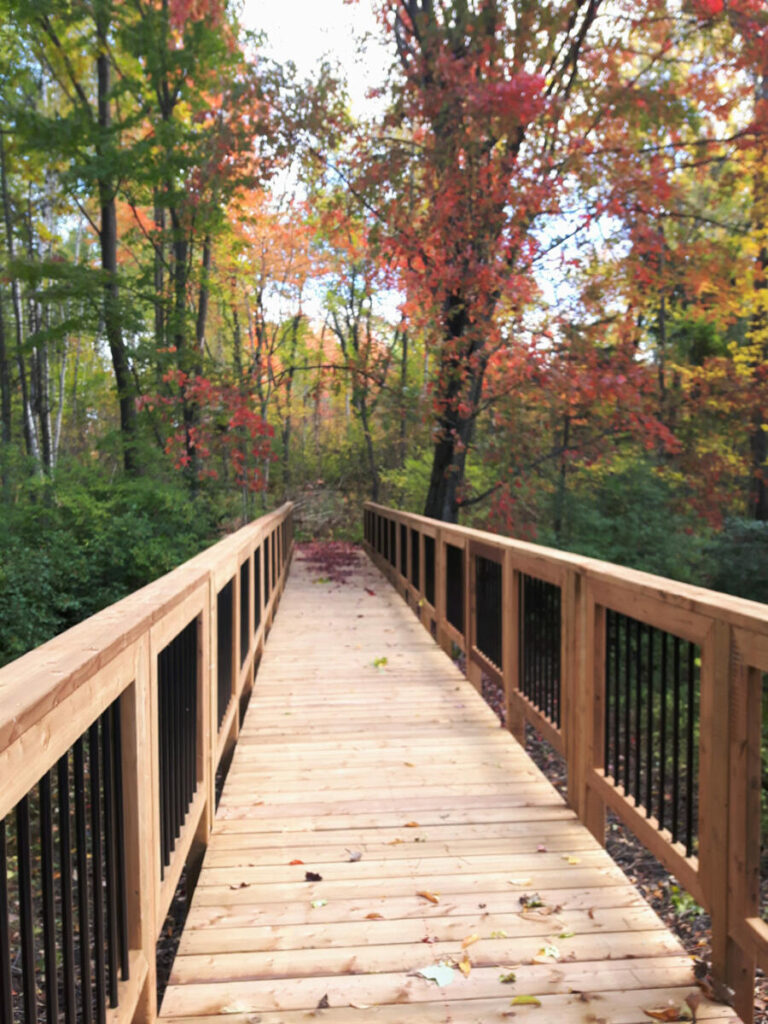 passerelle_sentier2020